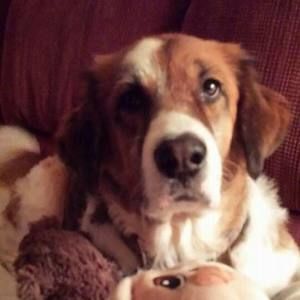 Meet your Posher, Wendy